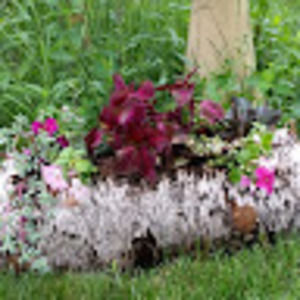 Meet your Posher, Jody